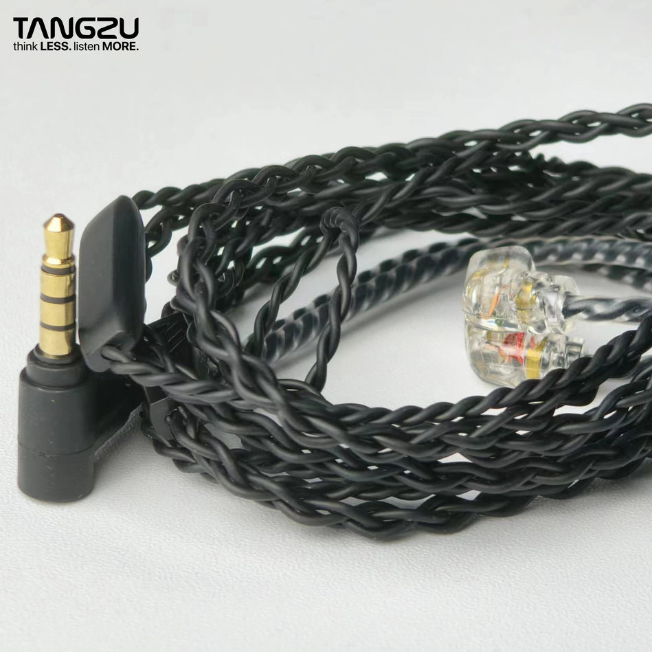 IEM Auriculares In-Ear TANGZU Wan’er | Hi-Fi 10mm Dinámicos con Micrófono y Cable Desmontable 0,78 mm