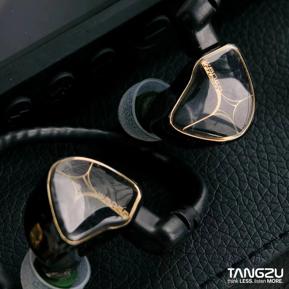 IEM Auriculares In-Ear TANGZU Wan’er S.G Studio Edition | Hi-Fi 10mm N52 Dinámicos con Doble Imán y Cámara Dual