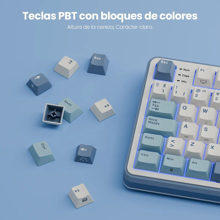 Teclado Mecánico RK ROYAL KLUDGE S98 Gaming 98 Teclas RGB Backlit - Top Mount, Pantalla TFT, Inalámbrico BT5.0/2.4G/USB-C + Hot Swappable