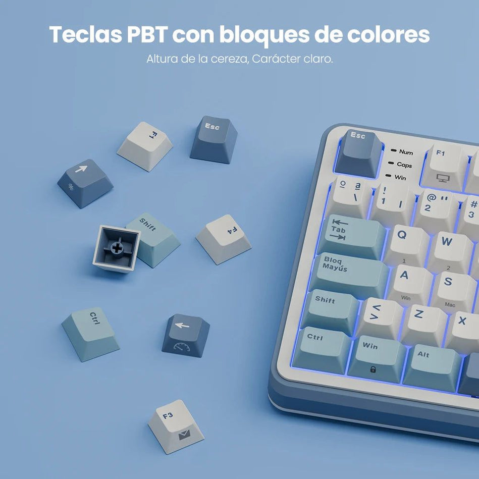 Teclado Mecánico RK ROYAL KLUDGE S98 Gaming 98 Teclas RGB Backlit - Top Mount, Pantalla TFT, Inalámbrico BT5.0/2.4G/USB-C + Hot Swappable