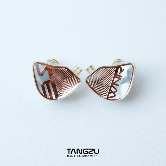 IEM Auriculares In-Ear TANGZU Wan’er S.G Studio Edition | Hi-Fi 10mm N52 Dinámicos con Doble Imán y Cámara Dual
