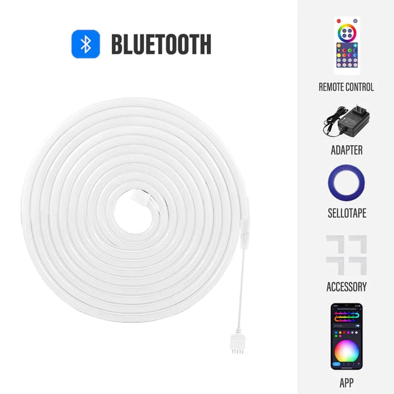 Tira de luz RGBIC Neon con WiFi