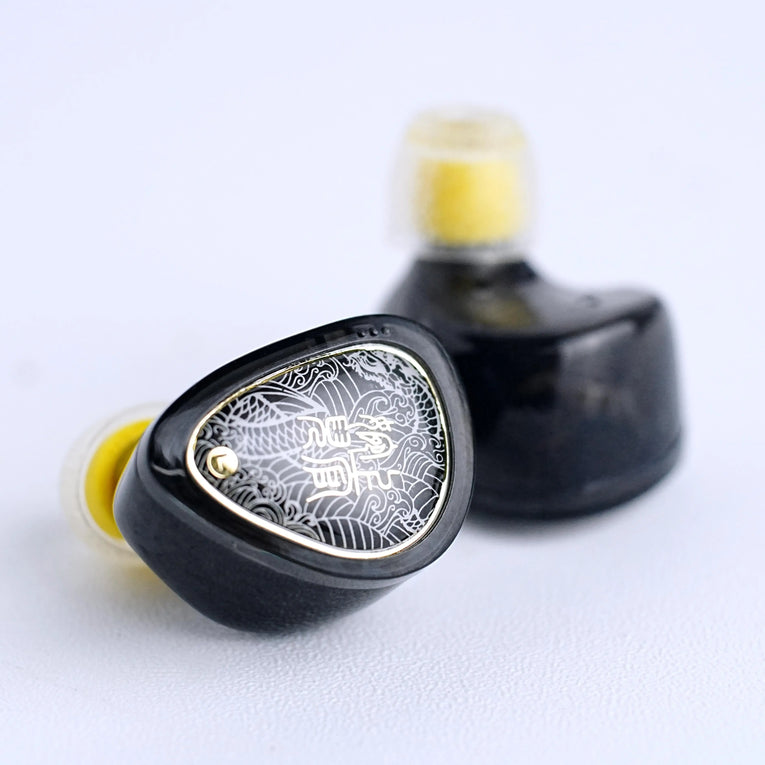 IEM Auriculares In-Ear TANGZU Wan’er SG2 | Dinámicos Hi-Fi 10mm con Cable Desmontable
