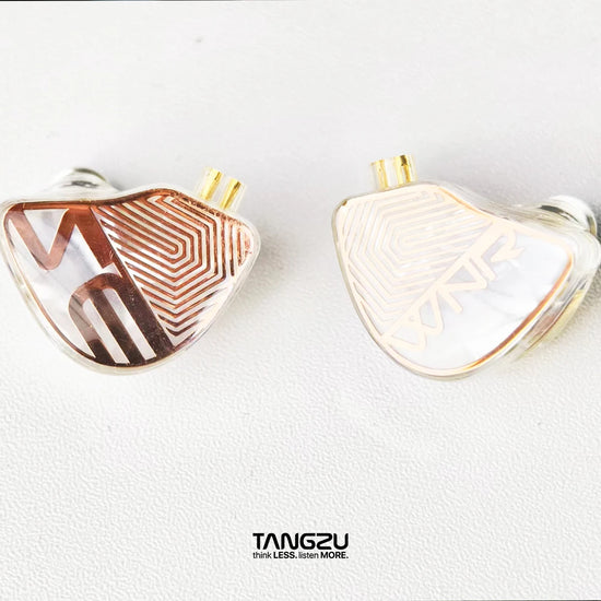 IEM Auriculares In-Ear TANGZU Wan’er S.G Studio Edition | Hi-Fi 10mm N52 Dinámicos con Doble Imán y Cámara Dual