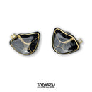 IEM Auriculares In-Ear TANGZU Wan’er S.G Studio Edition | Hi-Fi 10mm N52 Dinámicos con Doble Imán y Cámara Dual