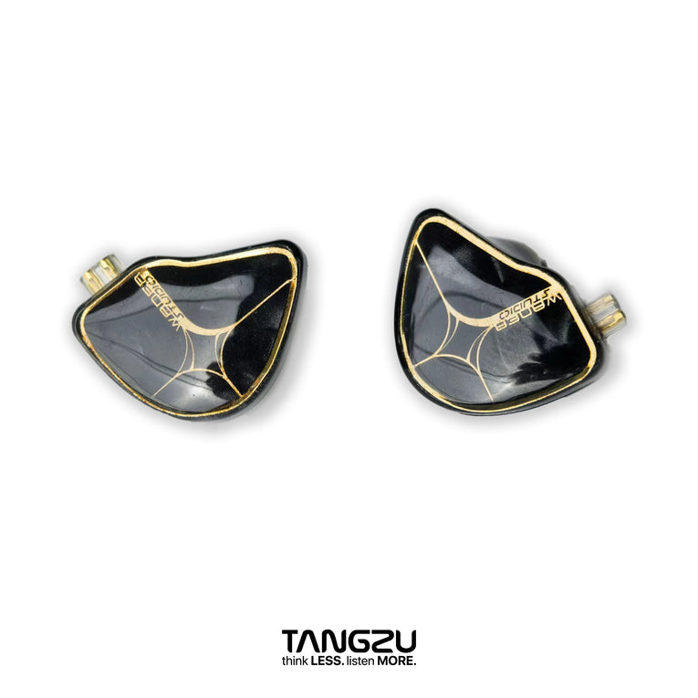 IEM Auriculares In-Ear TANGZU Wan’er S.G Studio Edition | Hi-Fi 10mm N52 Dinámicos con Doble Imán y Cámara Dual