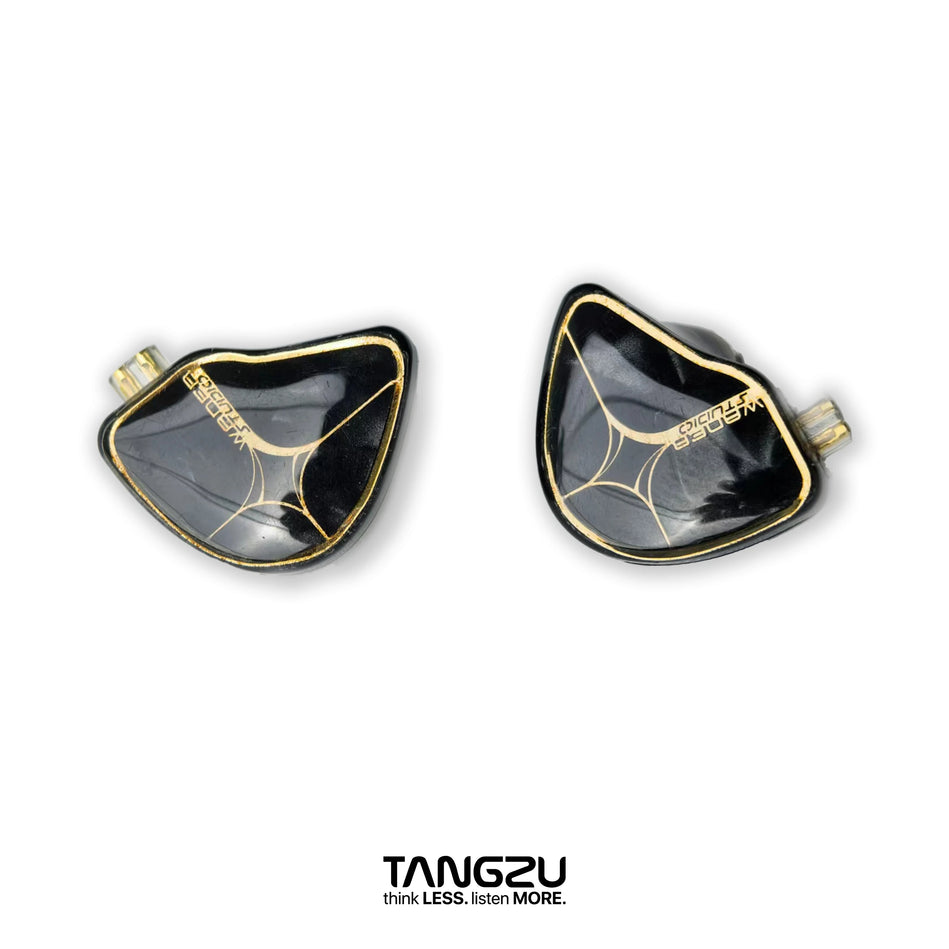 IEM Auriculares In-Ear TANGZU Wan’er S.G Studio Edition | Hi-Fi 10mm N52 Dinámicos con Doble Imán y Cámara Dual