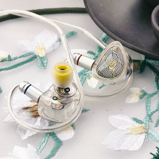 IEM Auriculares In-Ear TANGZU Wan’er SG2 | Dinámicos Hi-Fi 10mm con Cable Desmontable