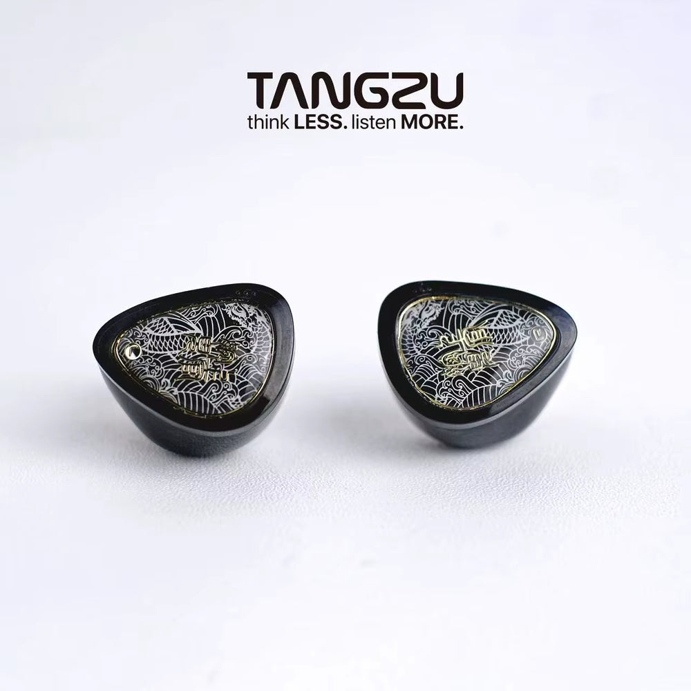 IEM Auriculares In-Ear TANGZU Wan’er SG2 | Dinámicos Hi-Fi 10mm con Cable Desmontable